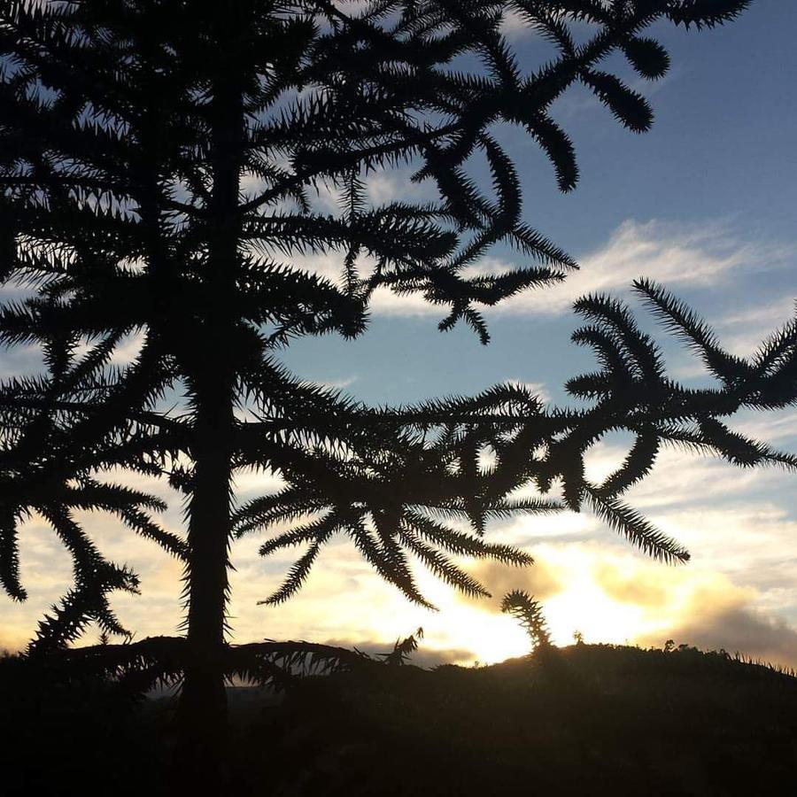 فيلا Caminho Do Sol مونتي فيردي المظهر الخارجي الصورة